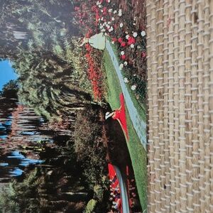 Vintage Cypress Gardens Florida Post Card